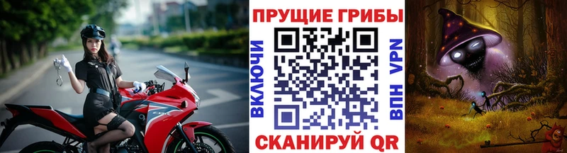 Псилоцибиновые грибы прущие грибы  как найти закладки  Коркино 